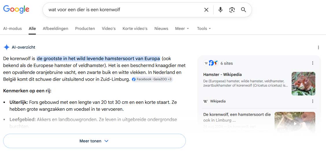 Google AI Overview vermelding en linkvermeldingen Google AI Overview vermelding en linkvermeldingen